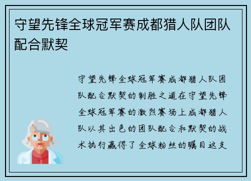 守望先锋全球冠军赛成都猎人队团队配合默契
