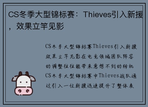 CS冬季大型锦标赛：Thieves引入新援，效果立竿见影