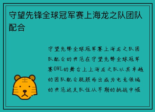 守望先锋全球冠军赛上海龙之队团队配合