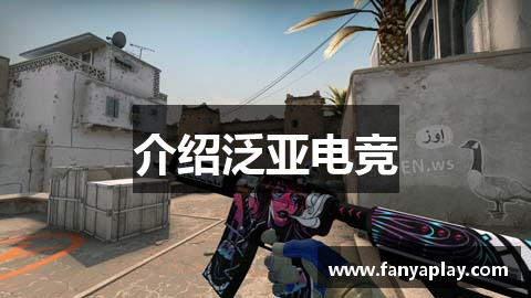 介绍泛亚电竞